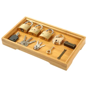 Wooden Lock & Key Matching Toy for Preschoolers | Montessori Fine Motor Activity